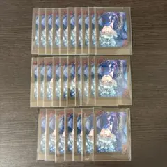 悪魔執事と黒い猫 あくねこ ぱしゃこれ ハナマル