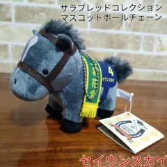 Item thumbnail for item f012e3ab-ef1e-460f-9d5b-fd00e1c5de49