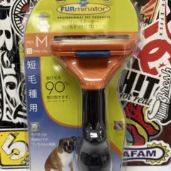 Item thumbnail for item 06a6e33b-5af3-4d3f-be02-711d888bb687