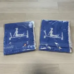 Item thumbnail for item 731d7393-911f-435e-8860-c624407075d6