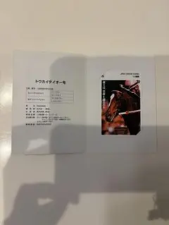 Item thumbnail for item ae4ee696-4edd-40c6-b12b-13c8beb2eb7e