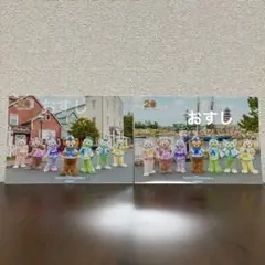 ダッフィー20周年　バケーションパッケージ スペフォ　フォトファン　2枚セット