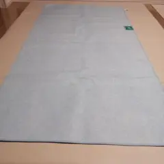 アラエルケイソウドイリジョシツシート