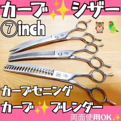 Item thumbnail for item d176d12d-528f-44ce-a21f-6d36cafa4a8f