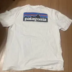 パタゴニア　Patagonia Tシャツ　アウトドア　キャンプ　ストリート