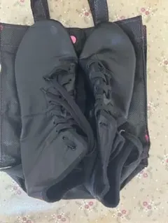 Item thumbnail for item 01f364f1-c04c-4c01-8c39-624cc7023a91