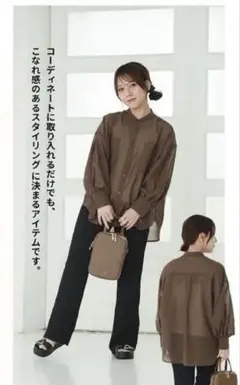 talbyyumi シアーブラウス シャツ 長袖 トップス 茶 ブラウン Lのサムネイル