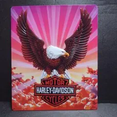 Item thumbnail for item 42128b62-cf47-4145-8eeb-c040f3bb5a7d