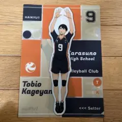 HAIKYU!! 影山飛雄 クリアファイル
