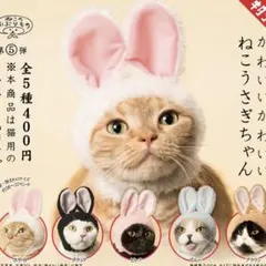 かわいいかわいいねこうさぎちゃん猫被り物2個セット