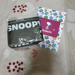 Item thumbnail for item 0f87e68c-7d1f-470c-aaea-02fafde75d24