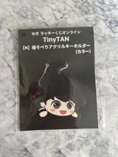 BTS Tinytan アクリルチャーム