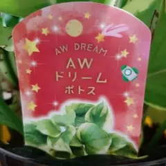 mikity様 リクエスト 2点 まとめ商品