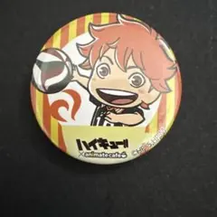 ハイキュー!! アニメイトカフェ　animatecafe 缶バッジ　日向翔陽
