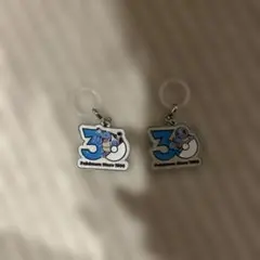 ポケモン　メタルチャームマスコット　30周年　ゼニガメ　カメックス