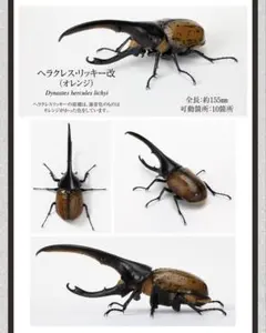 いきもの大図鑑かぶとむし07 ヘラクレス・リッキー改(オレンジ) - メルカリ