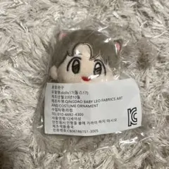 スキズ Straykids マスター 10cmぬいぐるみ ヒョンジン - メルカリ