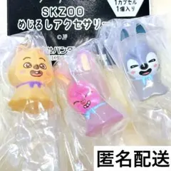 Stray Kids skzoo ガチャ　めじるしアクセサリー　3RACHA