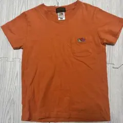 フルーツオブザルーム140 tシャツ