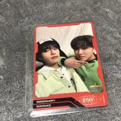 stray kids ユニット　トレカ　チャンビン　スンミン　ODDINARY