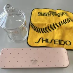 Item thumbnail for item 0b83f9c5-09d3-492d-b421-b1d7018e454c