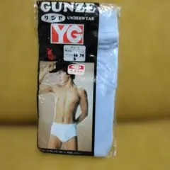 GUNZE グンゼ YG ブリーフ 廃盤品 水色 （新品未使用）