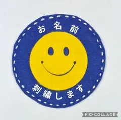 Item thumbnail for item 7d24eb73-ae9c-47ac-b9cd-08e294126808