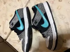 Item thumbnail for item 958aaab5-6a5b-4fe9-8059-4ddbefb6c9e9