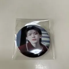 SEVENTEEN 消費期限　ウジ 缶バッジ