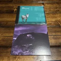 Item thumbnail for item 382948d0-83a2-4811-a254-9c294690d7dc