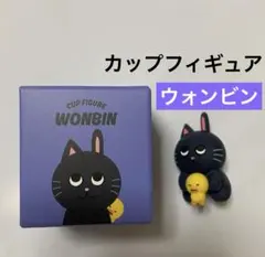 RIIZE ウォンビン キャラクター カップフィギュア トニャンドク