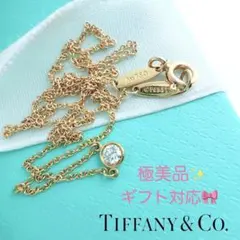 ティファニー　エルサ・ペレッティダイヤモンド　バイザヤード　ペンダントセット ティファニー エルサ・ペレッティ ダイヤモンド バイ ザ ヤード