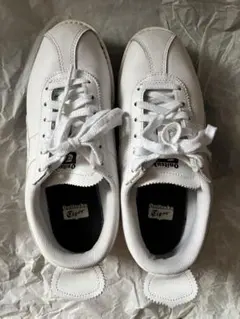 Item thumbnail for item 864d7e17-c7e7-4461-b640-3ea66431be1d