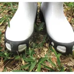 Item thumbnail for item c8e6a020-7998-4e94-94cf-cdb29b4b7089