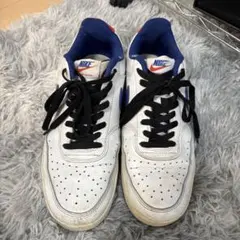 ナイキ コート ビジョン LO DN4243141