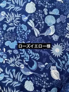 キャスキッドソン　マジカルメモリー　コットンダック　SDGS