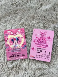 ミニーのパルパルーザ初日フリーきっぷ