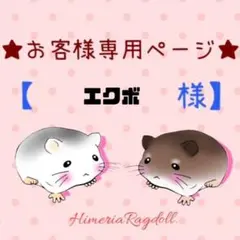 エクボ様 リクエスト 2点 まとめ商品