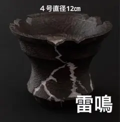 波浪〜Hiyodori〜 6号直径18㎝ 3dプリンター鉢 作家鉢 アガベ - メルカリ