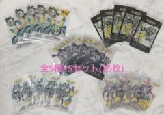 【希少 レア ポケミク】ポケモン 初音ミク ららぽーと クリアカード 全5種×5