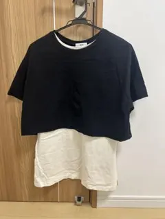 Item thumbnail for item 730674a9-bc04-4211-9e09-ec7b5a6d661b