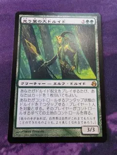 MTG　光り葉の大ドルイド/Gilt-Leaf Archdruid　MOR