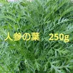 人参の葉　250g　ネコポス発送のサムネイル