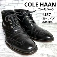 Item thumbnail for item 76ef3148-b2ac-4fef-8603-58891a98c45b