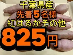 825円！先着5名様！紅はるかその他！千葉県産！前期3000箱販売！