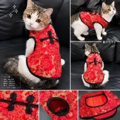 고양이 옷 중국 드레스 스타일 레드 사이즈 M