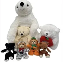 くまのぬいぐるみ　テディベア　大きなぬいぐるみ　まとめ売り　Y64
