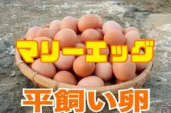 Item thumbnail for item fa191a18-e2a1-4706-936e-3a7e9face535