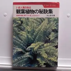 Item thumbnail for item d00149fe-3b67-4555-a529-4354e908d625