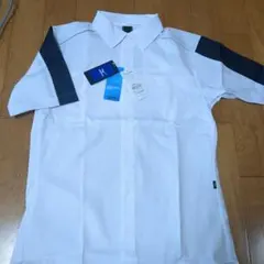 Item thumbnail for item 9a5e9b50-cfe3-41b1-9e27-940a7ed7c24b